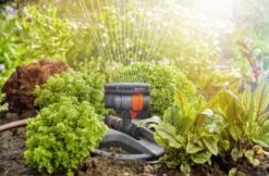 GARDENA - Zwenksproeier AquaZoom Compact - Tuinsproeier - 9 Tot 216 M² -Tuinverzorgings Winkel 1200x785