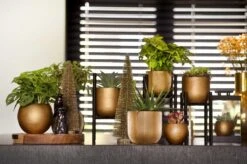 Capi Europe - Bloempot Bol Retro - 23x21 - Goud - Bloempot Voor Binnen - BRTG134 -Tuinverzorgings Winkel 1200x795 4