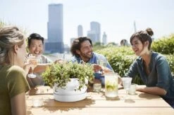 Elho Greenville Schaal 33 - Bloempot Voor Buiten - Ø 32.5 X H 19.4 Cm - Groen/Blad Groen -Tuinverzorgings Winkel 1200x799 46