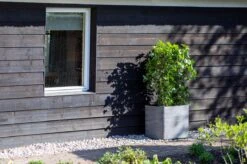 Capi Europe - Bloempot Vierkant Rib NL - 30x30x30 - Zwart - Voor Binnen En Buiten - KBLR902 -Tuinverzorgings Winkel 1200x799 48