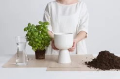 Iittala Nappula - Bloempot - Bloempotten Voor Binnen En Buiten - Plantenpotten - Wit - 230 X 155 Mm - 1 Stuk 24 Iittala Nappula - Bloempot - Bloempotten Voor Binnen En Buiten - Plantenpotten - Wit - 230 X 155 Mm - 1 Stuk -Tuinverzorgings Winkel 1200x799 52