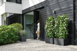 Elho Vivo Next Vierkant 30 - Plantenbak Voor Binnen & Buiten - Ø 29.5 X H 29.5 Cm - Zwart/Living Black -Tuinverzorgings Winkel 1200x800 123