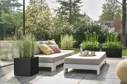 Elho Vivo Next Vierkant 40 - Plantenbak Voor Binnen & Buiten - Ø 39.0 X H 37.9 Cm - Zwart/Living Black -Tuinverzorgings Winkel 1200x800 126