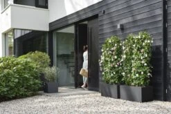 Elho Vivo Next Vierkant 40 - Plantenbak Voor Binnen & Buiten - Ø 39.0 X H 37.9 Cm - Zwart/Living Black -Tuinverzorgings Winkel 1200x800 127