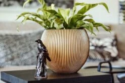 Capi Europe - Vaas Bol Groove XL - 63x51 - Goud - Bloempot Voor Binnen - Opening ⌀42 - GVGB271 -Tuinverzorgings Winkel 1200x800 134