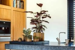 Capi Europe - Bloempot Bol Groove - 23x21 - Goud - Bloempot Voor Binnen - BGVGB134 -Tuinverzorgings Winkel 1200x800 142