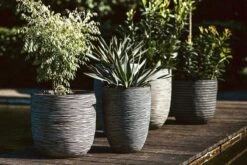 Capi Europe - Bloempot Bol Rib NL - 35x34 - Antraciet - Voor Binnen En Buiten - KOFZ932 -Tuinverzorgings Winkel 1200x800 144