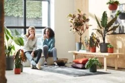 Elho B.for Soft Rond 25 - Bloempot Voor Binnen - Ø 24.7 X H 23.3 Cm - Antraciet -Tuinverzorgings Winkel 1200x800 149