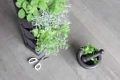 Prosperplast Verticale Kruidentuin Kunststof - Staand/hangend - Modulair - Antraciet Grijs - L 20 X B 11 X H 48 Cm - Incl. Kruidenschaar -Tuinverzorgings Winkel 1200x800 151