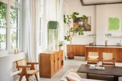 Elho B.for Swing 18 Hangpot - Bloempot Voor Binnen - Ø 18.0 X H 16.5 Cm - Groen/Blad Groen -Tuinverzorgings Winkel 1200x800 161