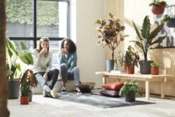 Elho B.for Soft Rond 35 - Bloempot Voor Binnen - Ø 34.5 X H 32.3 Cm - Antraciet -Tuinverzorgings Winkel 1200x800 163