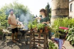 GARDENA - Terras Spiraalslang - 7.5 M Tuinslang - 9mm 13 GARDENA - Terras Spiraalslang - 7.5 M Tuinslang - 9mm -Tuinverzorgings Winkel 1200x800 50