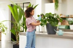 Elho Brussels Gieter 1,8l - Gieter Voor Binnenkweken En Oogsten - Ø 33.0 X H 17.0 Cm - Groen/Mint -Tuinverzorgings Winkel 1200x800 58