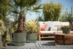 Elho Greenville Rond 30 - Grote Bloempot Voor Buiten - Gemaakt Van Gereycled Plastic - Ø 29.5 X H 27.8 Cm - Blad Groen -Tuinverzorgings Winkel 1200x801 11