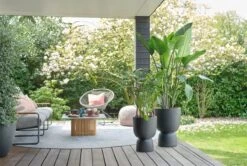 Elho Pure Coupe 35 - Bloempot Voor Binnen & Buiten - Ø 34.9 X H 49.0 Cm - Zwart/Zwart -Tuinverzorgings Winkel 1200x805 2