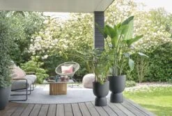 Elho Pure Coupe 41 - Bloempot Voor Binnen & Buiten - Ø 41.3 X H 57.9 Cm - Zwart/Zwart -Tuinverzorgings Winkel 1200x805 3