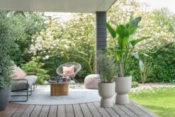 Elho Pure Coupe 35 - Bloempot Voor Binnen & Buiten - Ø 34.9 X H 49.0 Cm - Beige/Balanced Beige -Tuinverzorgings Winkel 1200x808