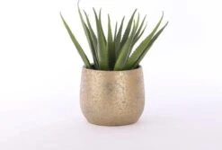 Mica Decorations Clemente Bloempot - H31 X Ø38 Cm - Terracotta - Goud -Tuinverzorgings Winkel 1200x813 4