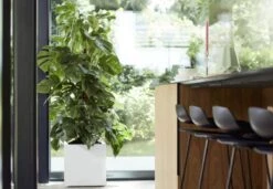 Elho Vivo Matt Finish Vierkant Wielen 40 - Grote Plantenbak Voor Binnen & Buiten - Gemaakt Van Gereycled Plastic - L 39 X W 39 X H 41 Cm - Wit -Tuinverzorgings Winkel 1200x832