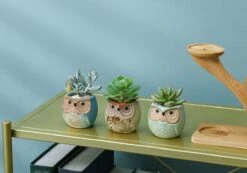 Luxe Bamboe Houten Boom Met 3 Keramiek Uil Bloempotten/Plantenpotten Op Standaard/Voet Voor Binnen En Buiten - Modern Design Bloempot/Plantenpot Op Poten/Pootjes-Plantenbak Mini Cactus Nep Plant Pot Houder - Kleine Bloembakken Plantenrek/Plantenkurk -Tuinverzorgings Winkel 1200x840 3