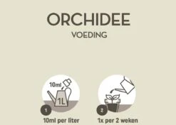 Pokon Orchidee Voeding - 250ml - Plantenvoeding - 10ml Per 1L Water -Tuinverzorgings Winkel 1200x856 2