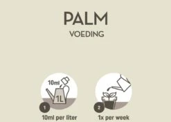 Pokon Palm Voeding - 250ml - Plantenvoeding - 10ml Per 1L Water -Tuinverzorgings Winkel 1200x856