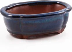 Happy Seed Keramieken Bonsai Pot (schaal) - Marine Blauw - Geglazuurd 10 Happy Seed Keramieken Bonsai Pot (schaal) - Marine Blauw - Geglazuurd -Tuinverzorgings Winkel 1200x873