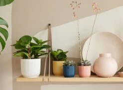 Elho Vibes Fold Rond 30 - Bloempot Voor Binnen - Ø 29.5 X H 27.2 Cm - Zijdewit -Tuinverzorgings Winkel 1200x879 7