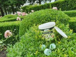 Topbuxus Buxus Health Mix -Tuinverzorgings Winkel 1200x899 1