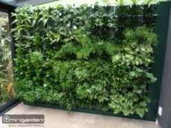 Minigarden Vertical Verticale Tuin - Zwart -Tuinverzorgings Winkel 1200x900 19