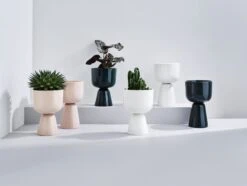 Iittala Nappula - Bloempot - Bloempotten Voor Binnen En Buiten - Plantenpotten - Wit - 230 X 155 Mm - 1 Stuk 21 Iittala Nappula - Bloempot - Bloempotten Voor Binnen En Buiten - Plantenpotten - Wit - 230 X 155 Mm - 1 Stuk -Tuinverzorgings Winkel 1200x906 1