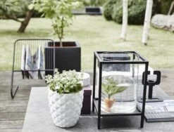 Capi Europe - Bloempot Vierkant Smooth NL - 40x40x40 - Zwart - Voor Binnen En Buiten - KBL903 23 Capi Europe - Bloempot Vierkant Smooth NL - 40x40x40 - Zwart - Voor Binnen En Buiten - KBL903 -Tuinverzorgings Winkel 1200x915 1