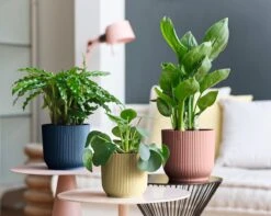 Elho Vibes Fold Rond Wielen 35 - Bloempot Voor Binnen - Ø 34.9 X H 32.4 Cm - Diepblauw -Tuinverzorgings Winkel 1200x956 1