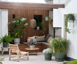 Elho Greenville Rond 30 - Grote Bloempot Voor Buiten - Gemaakt Van Gereycled Plastic - Ø 29.5 X H 27.8 Cm - Blad Groen -Tuinverzorgings Winkel 1200x996 2