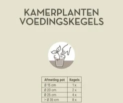 Pokon Kamerplanten Voedingskegels - 10st - Plantenvoeding - 6 Maanden Voeding -Tuinverzorgings Winkel 1200x999