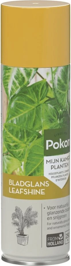 Pokon Bladglans 600ml -Tuinverzorgings Winkel 321x1200 1