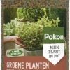 Pokon Voedingskorrels Voor Groene Planten - 800gr - 180 Dagen Voeding - Plantenvoeding -Tuinverzorgings Winkel 480x1200