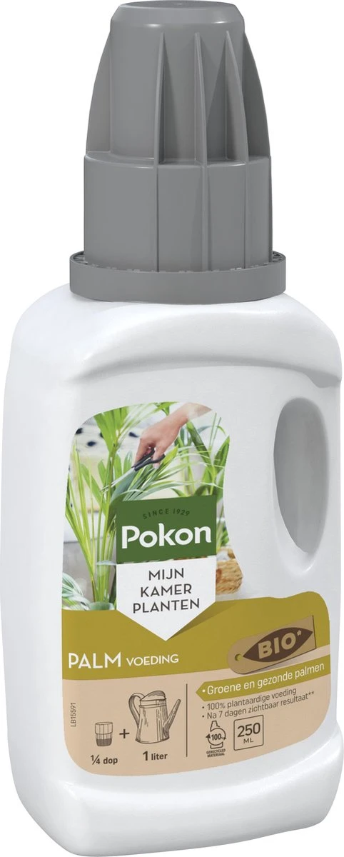 Pokon Bio Palm Voeding - 250ml - Plantenvoeding (bio) - 7ml Per 1L Water 9 Pokon Bio Palm Voeding - 250ml - Plantenvoeding (bio) - 7ml Per 1L Water - Afbeelding 7