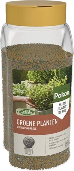 Pokon Voedingskorrels Voor Groene Planten - 800gr - 180 Dagen Voeding - Plantenvoeding -Tuinverzorgings Winkel 524x1200