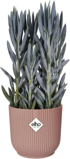 Elho Vibes Fold Rond Wielen 35 - Bloempot Voor Binnen - Ø 34.9 X H 32.4 Cm - Delicaat Roze -Tuinverzorgings Winkel 531x1200 2