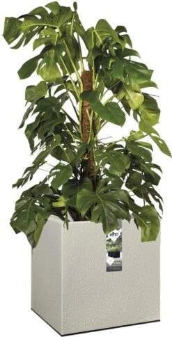 Elho Vivo Structure Finish Vierkant 40 - Plantenbak Voor Binnen & Buiten - Ø 39 X H 41 - Grijs/Warm Grijs -Tuinverzorgings Winkel 613x1200 2