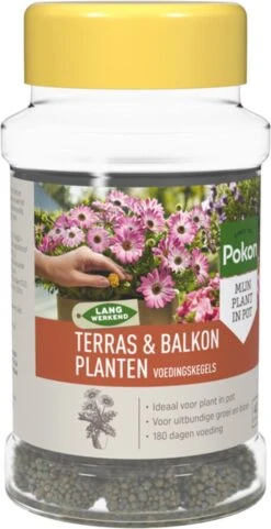 Pokon Voedingskegels Voor Terras- & Balkonplanten - 40 Stuks - 180 Dagen Voeding - Plantenvoeding -Tuinverzorgings Winkel 616x1200 1