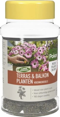 Pokon Voedingskegels Voor Terras- & Balkonplanten - 40 Stuks - 180 Dagen Voeding - Plantenvoeding -Tuinverzorgings Winkel 616x1200 2