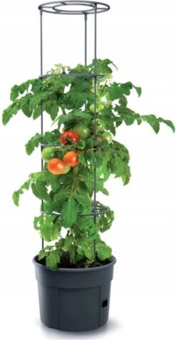 TOMATENPOT VOOR HET KWEKEN VAN TOMATEN PROSPERPLAST 28L -Tuinverzorgings Winkel 621x1200 8