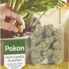 Pokon Kamerplanten Voedingskegels - 2x10st - Plantenvoeding - 6 Maanden Voeding -Tuinverzorgings Winkel 699x1200 2