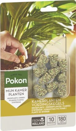 Pokon Kamerplanten Voedingskegels - 10st - Plantenvoeding - 6 Maanden Voeding -Tuinverzorgings Winkel 699x1200 3