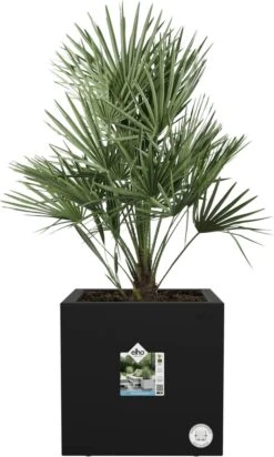 Elho Vivo Next Vierkant 40 - Plantenbak Voor Binnen & Buiten - Ø 39.0 X H 37.9 Cm - Zwart/Living Black -Tuinverzorgings Winkel 720x1200 2