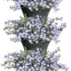 Elho Corsica Vertical Forest 24 - Bloempot Voor Balkonbuiten - Ø 26.7 X H 29.7 Cm - Zwart/Antraciet -Tuinverzorgings Winkel 765x1200 1