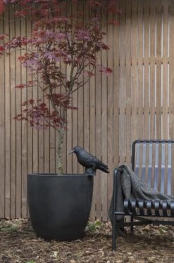 Capi Europe - Bloempot Bol Smooth NL - 54x52 - Zwart - Voor Binnen En Buiten - KBL935 -Tuinverzorgings Winkel 793x1200