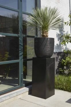 Capi Europe - Bloempot Bol Rib NL - 54x52 - Zwart - Voor Binnen En Buiten - KBLR935 18 Capi Europe - Bloempot Bol Rib NL - 54x52 - Zwart - Voor Binnen En Buiten - KBLR935 -Tuinverzorgings Winkel 799x1200 46